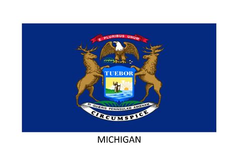 charities michigan|michigan charity renewal.